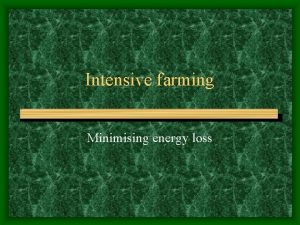 Intensive farming Minimising energy loss Intensive farms are