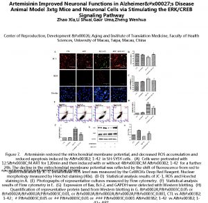 Artemisinin Improved Neuronal Functions in Alzheimerx 00027 s