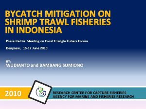 BYCATCH MITIGATION ON SHRIMP TRAWL FISHERIES IN INDONESIA