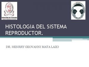 HISTOLOGIA DEL SISTEMA REPRODUCTOR DR HENRRY GEOVANNI MATA