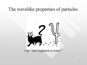 The wavelike properties of particles Cat Am I