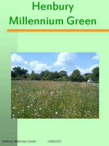 Henbury Millennium Green 13062021 Henbury Millennium Green Founder