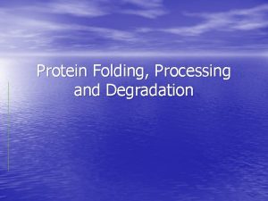 Protein Folding Processing and Degradation Protein Folding Protein