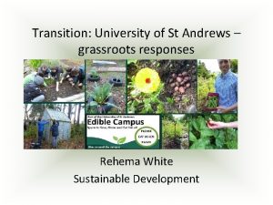 Transition University of St Andrews grassroots responses Rehema