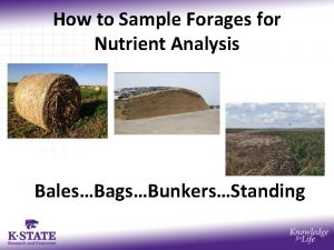 How to Sample Forages for Nutrient Analysis BalesBagsBunkersStanding