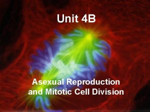 Unit 4 B Asexual Reproduction and Mitotic Cell