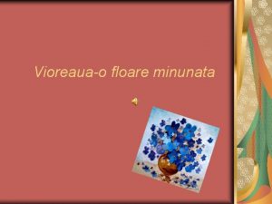 Vioreauao floare minunata Viorelele sunt florile cele mai