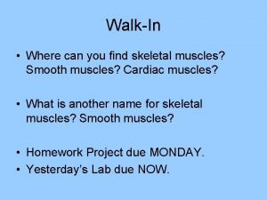 WalkIn Where can you find skeletal muscles Smooth