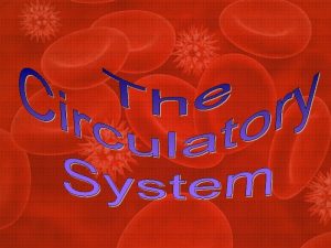 Essential Questions What are the major systems of