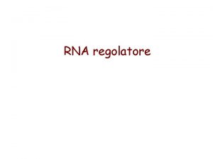 RNA regolatore Lewin IL GENE VIII Zanichelli editore