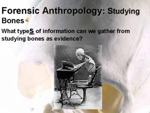 Forensic Anthropology Studying Bones What types of information