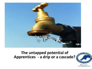 The untapped potential of Apprentices a drip or