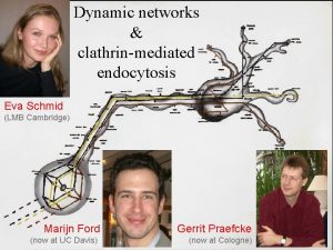 Dynamic networks clathrinmediated endocytosis Eva Schmid LMB Cambridge