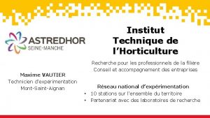 Institut Technique de lHorticulture Maxime VAUTIER Technicien dexprimentation