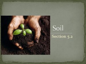 Soil Section 5 2 Characteristics of Soil Regolith