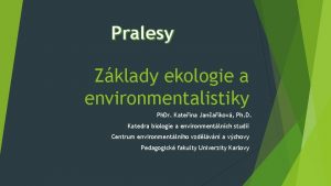 Pralesy Zklady ekologie a environmentalistiky Ph Dr Kateina