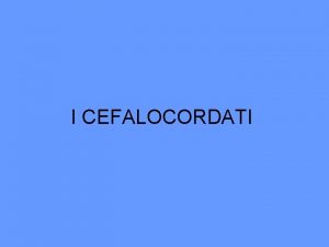 I CEFALOCORDATI I CEFALOCORDATI Sono animali marini che