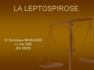 LA LEPTOSPIROSE Dr Dominique NEUBURGER 11 mai 2005