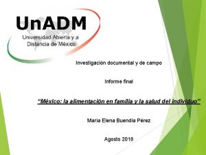 Investigacin documental y de campo Informe final Mxico