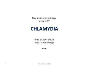 Diagnostic microbiology lecture 17 CHLAMYDIA Abed El Kader