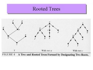 Rooted Trees More definitions root internal vertex descendants