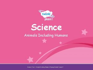 Science Animals Including Humans Year One Science Year