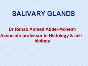 SALIVARY GLANDS Dr Rehab Ahmed AbdelMoneim Associate professor
