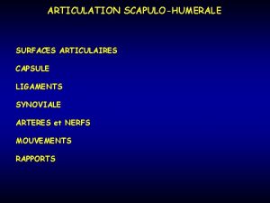 ARTICULATION SCAPULOHUMERALE SURFACES ARTICULAIRES CAPSULE LIGAMENTS SYNOVIALE ARTERES