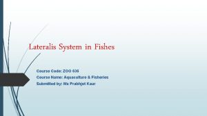 Lateralis System in Fishes Course Code ZOO 636