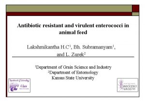 Antibiotic resistant and virulent enterococci in animal feed