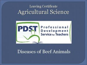 Leaving Certificate Agricultural Science Diseases of Beef Animals