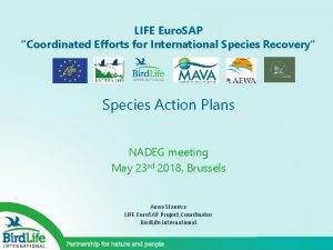 LIFE Euro SAP Coordinated Efforts for International Species