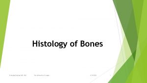 Histology of Bones Dr Amjad Shatarat MD Ph