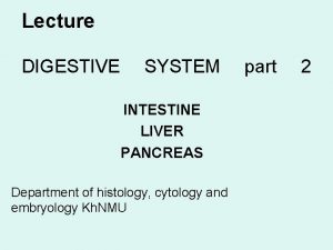 Lecture DIGESTIVE SYSTEM INTESTINE LIVER PANCREAS Department of