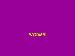 Unsegmented worms meaning