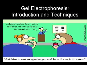 Gel Electrophoresis Introduction and Techniques Definition Agarose gel
