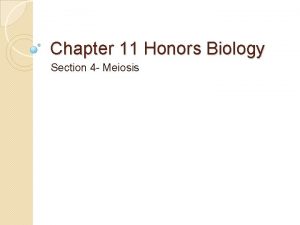 Chapter 11 Honors Biology Section 4 Meiosis Meiosis