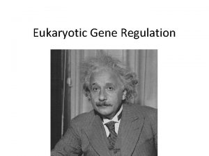 Eukaryotic Gene Regulation 5 mechanisms 1 2 3