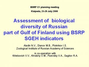 BSRP C 1 planning meeting Klaipeda 25 26