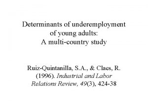 Determinants of underemployment of young adults A multicountry