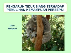 PENGARUH TIDUR SIANG TERHADAP PEMULIHAN KEMAMPUAN PERSEPSI Oleh