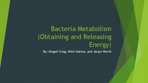 Bacteria Metabolism Obtaining and Releasing Energy By Abigail