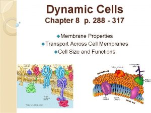 Dynamic Cells Chapter 8 p 288 317 u