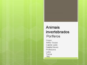 Animais invertebrados Porferos Grupo Arthur Souza Gabriel Justo