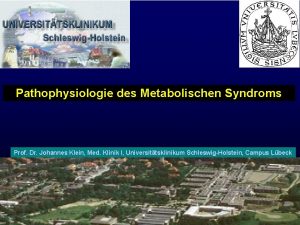 Pathophysiologie des Metabolischen Syndroms Prof Dr Johannes Klein