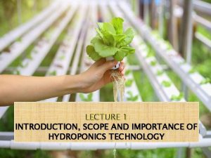Hydroponics is the science of growing terrestrial plants in
