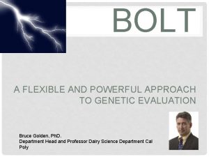 BOLT A FLEXIBLE AND POWERFUL APPROACH TO GENETIC