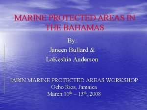 MARINE PROTECTED AREAS IN THE BAHAMAS By Janeen