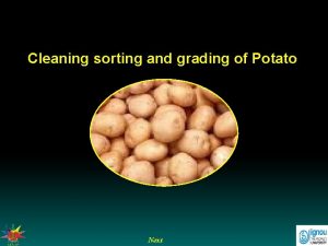 Cleaning sorting and grading of Potato Next Cleaning
