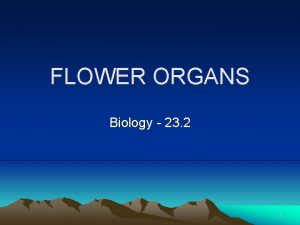 FLOWER ORGANS Biology 23 2 1 PLANT ORGANS